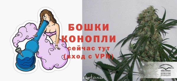 ECSTASY Бородино