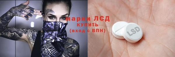 прущие грибы Богородицк