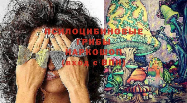 шишки Бронницы