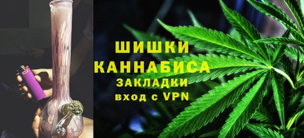 ECSTASY Бородино