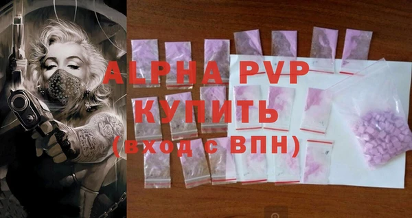 ECSTASY Бородино