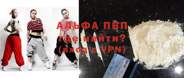 прущие грибы Богородицк