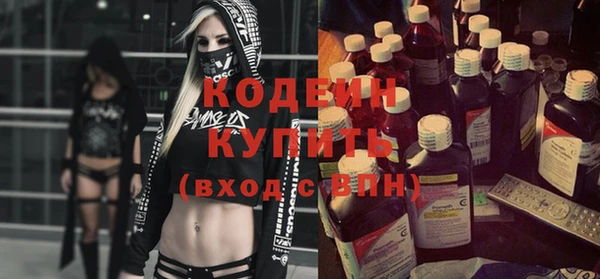 прущие грибы Богородицк