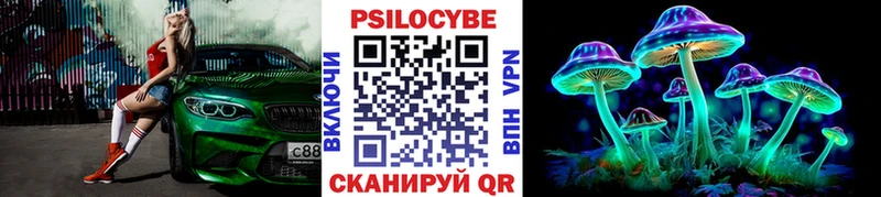 Псилоцибиновые грибы Psilocybe  MEGA как войти  Могоча 